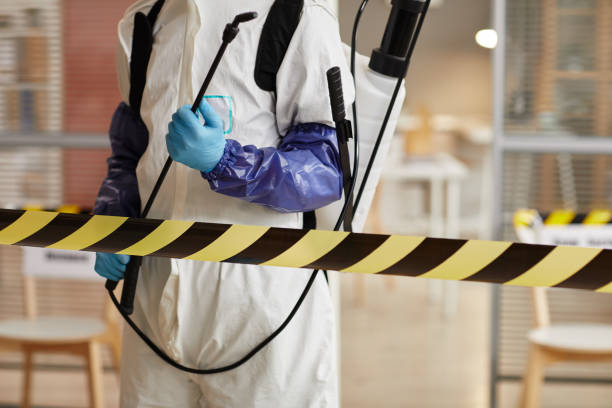 Professional Sewage Cleanup technician working in Odell, NE